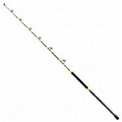 SHIMANO TYRNOS A TROLLING 
