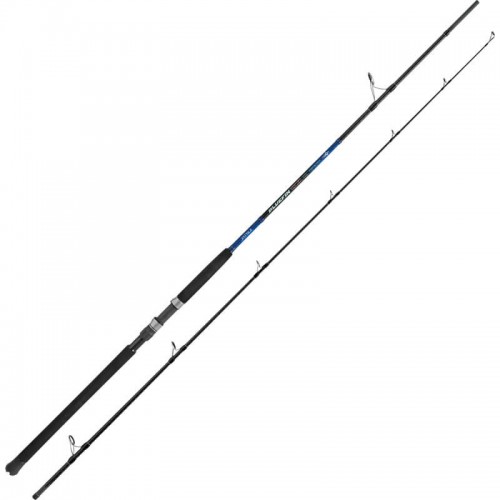 JATSUI BLUEFIN TUNA