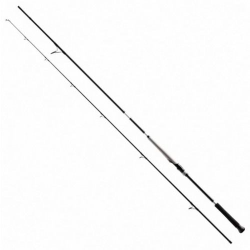SHIMANO BASSTERRA XT + A SHORE JIGGING