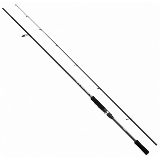 SHIMANO BASSTERRA A SEABASS SPINNING 
