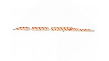 SEASPIN STREGA 257 VINTAGE ORANGE