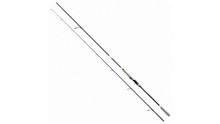 SHIMANO BASSTERRA XT + A SEA BASS 80M