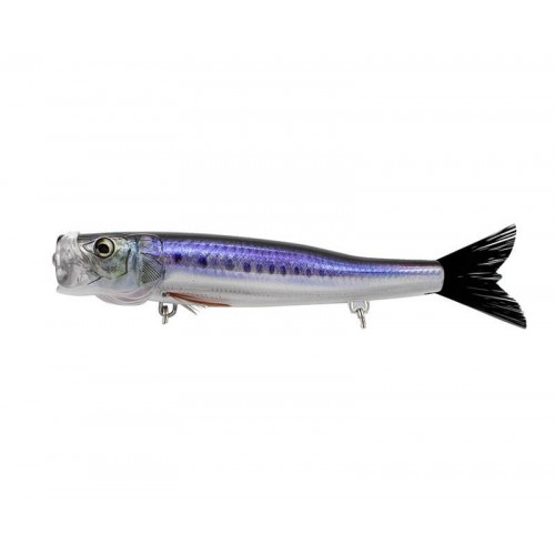 LITTLE JACK BILHOUETTE 160 02 UV OCEAN