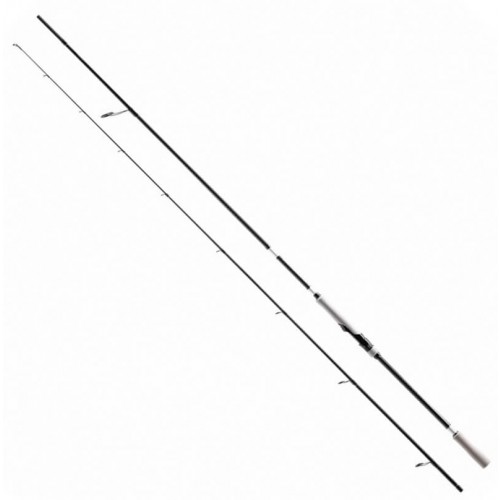 SHIMANO BASSTERRA XT + A SEA BASS 93MP
