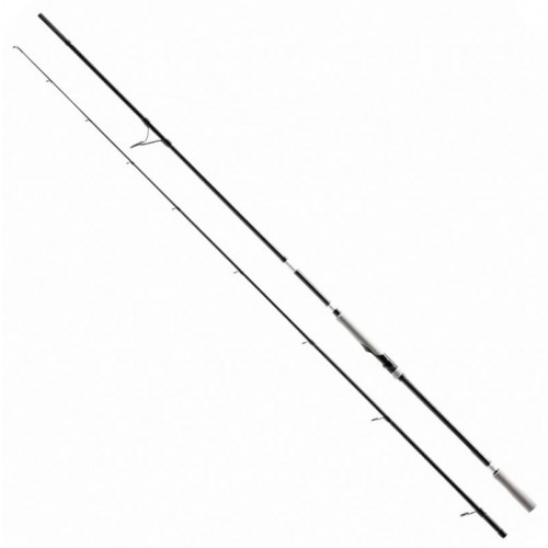 SHIMANO BASSTERRA XT + A SEA BASS 96H