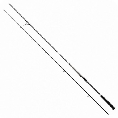 SHIMANO BASSTERRA XT + A SHORE JIGGING 96MH