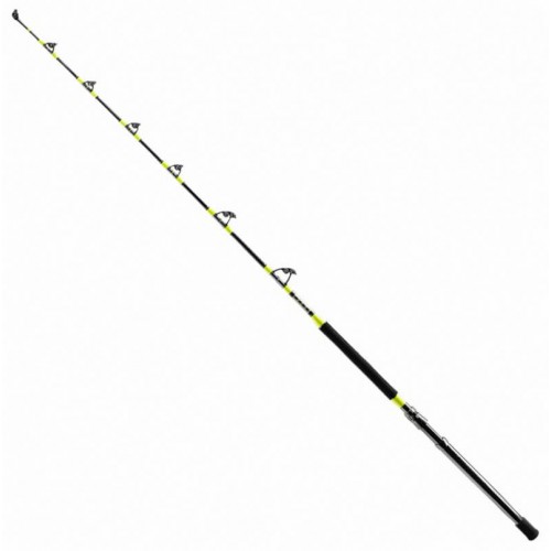 SHIMANO TYRNOS A TROLLING 80