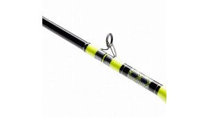 SHIMANO TYRNOS C TROLLING LITE