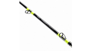 SHIMANO TYRNOS C TROLLING LITE
