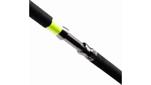 SHIMANO TYRNOS C TROLLING LITE
