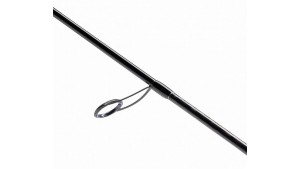 SHIMANO BASSTERRA XT + A SEA BASS