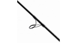 SHIMANO BASSTERRA XT + A SHORE JIGGING