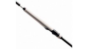 SHIMANO BASSTERRA XT + A SHORE JIGGING